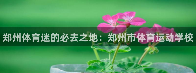 尊龙官方正版app神州:郑州体育迷的必去之地:郑州市体育运动